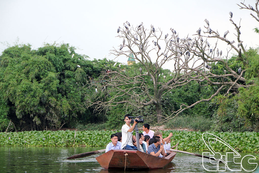 Khảo sát Đảo Cò giữa lòng hồ An Dương, thuộc địa bàn xã Chi Lăng Nam, huyện Thanh Miện