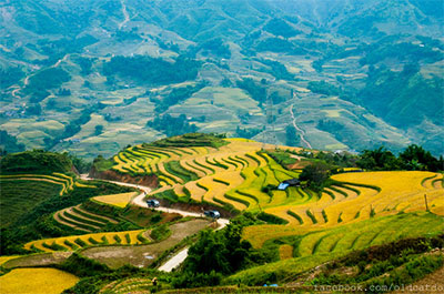 Sapa terraced fields among top 30 beautiful places globally 