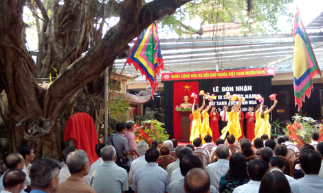 Hải Phòng có thêm một cây cổ thụ được công nhận “Cây di sản Việt Nam”