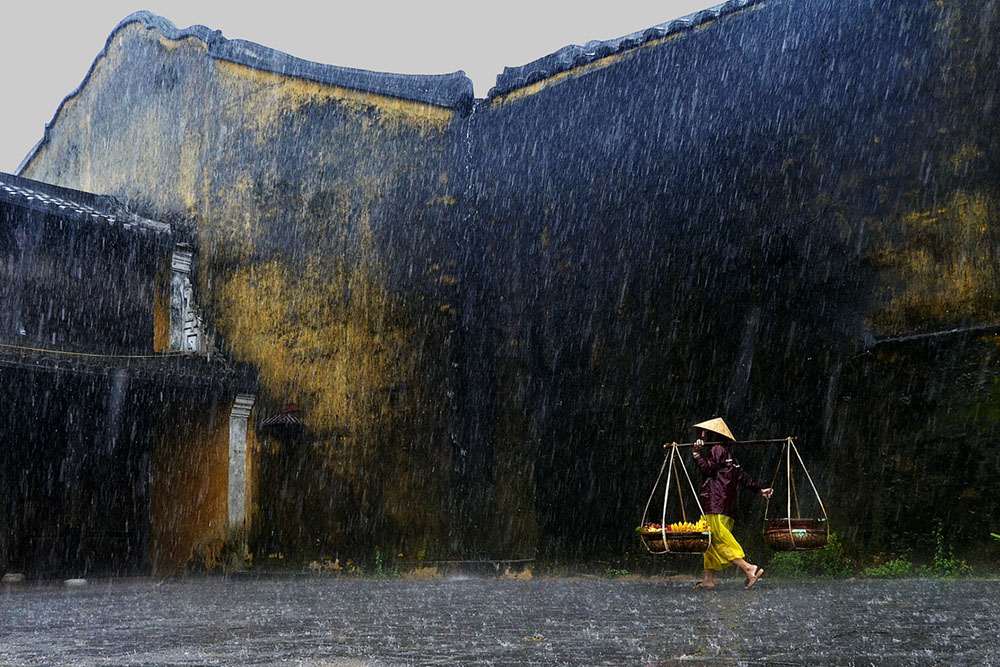 In the rain – Photographer: Nguyen Van Thanh
