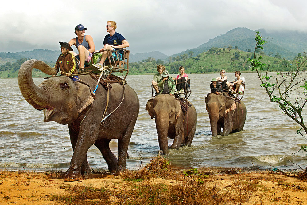 Elephant riding in Lak Lake (Dak Lak Province) – Photographer: Nguyen Thanh Chung
