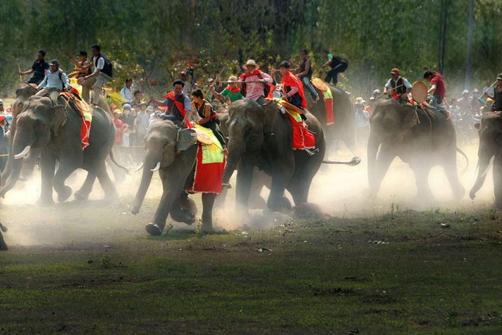 Elephant Racing Festival (Dak Lak Province) – Photographer: Ngo Thi Thu Ba