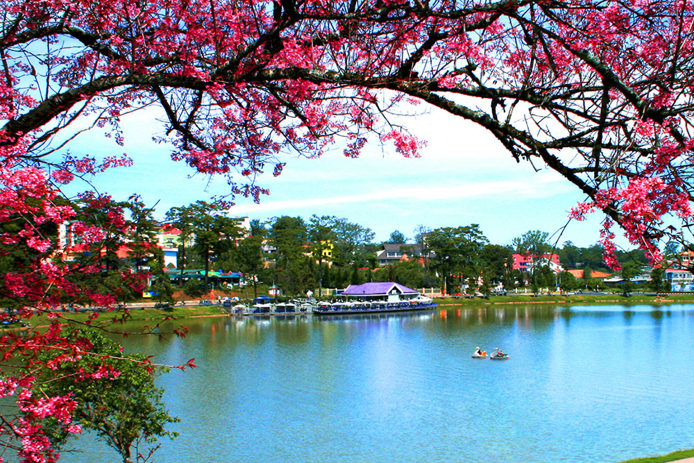 Da Lat in the spring (Lam Dong Province) – Photographer: Nguyen Trong Nghia
