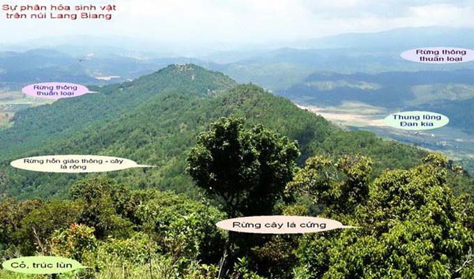 Cao nguyên Lang Biang (Việt Nam) được công nhận là khu Dự trữ Sinh quyển của thế giới