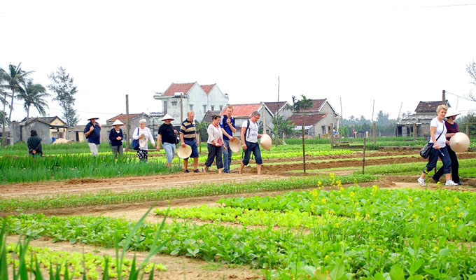 Village Tra Que classé par Le Figaro l’une des 10 meilleurs destinations touristiques au Viet Nam