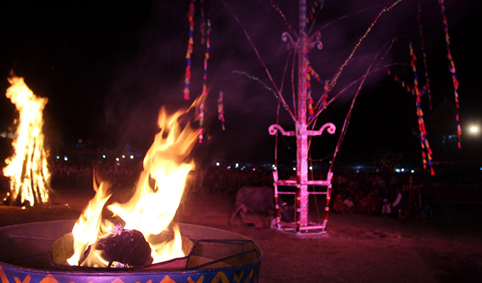 Đắk Lắk: Lễ ăn trâu mừng mùa được thay bằng Lễ cúng thần linh tại Lễ hội Văn hóa truyền thống các dân tộc huyện Buôn Đôn