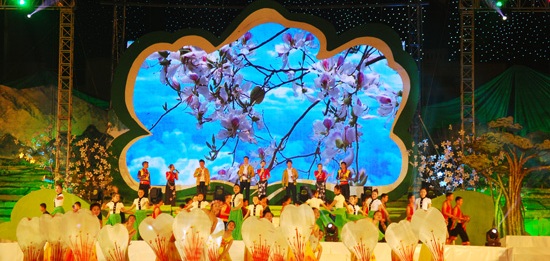 Điện Biên tổ chức Lễ hội Hoa Ban 2016