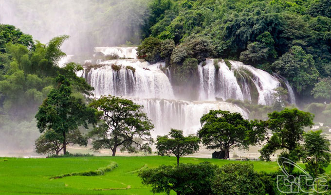Festival in honour of Viet Nam’s widest waterfall