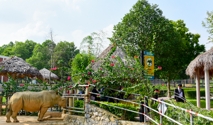 Muong Thanh Safari Land – The largest open zoo in the North Central