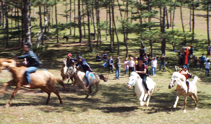 Bế mạc Mùa hội Cỏ hồng LangBiang 2018: Giải đua ngựa không yên "Vó ngựa thảo nguyên" 