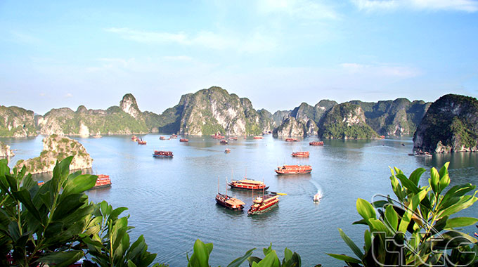 Viet Nam named in top 15 most Instagrammed global cruise destinations