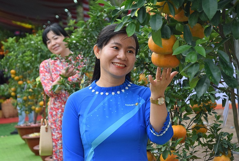 Lai Vung Red Mandarin Festival opens in Dong Thap for the first time
