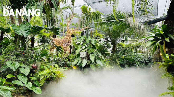 Đà Nẵng: Lạc vào khu vườn nhiệt đới ở Tiệm cây và nước