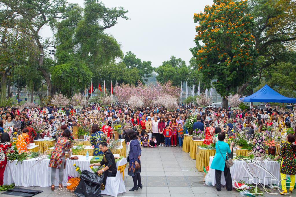 Concours de piquage de fleurs au Festival des cerisiers (Photo: Anh Dung)
