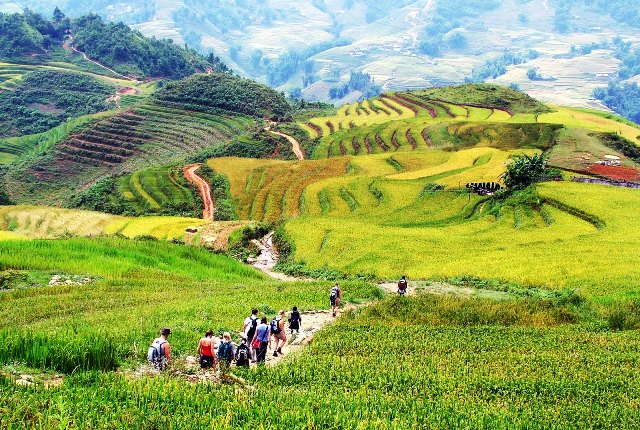 Le Vietnam, destination de rêve pour les randonneurs 