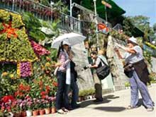 Celebrating the New Year 2010 at the Dalat Flower Festival