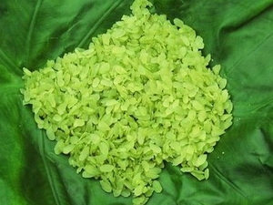 Green rice flake products to be introduced at a festival 