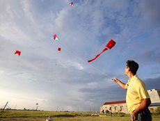 Int'l kite exhibition opens in Nam Dinh