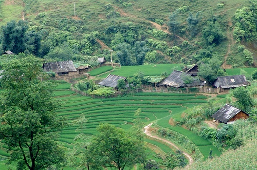 A la découverte du village Mong des Thai