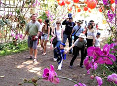 Công ty Dịch vụ Lữ hành Saigontourist đẩy mạnh kích cầu du lịch