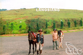 Phát huy tiềm năng du lịch Lâm Đồng