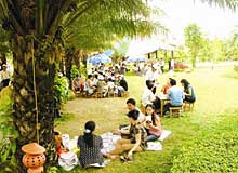 Năm 2008: Tổ chức Năm du lịch Quốc gia “Miệt vườn sông nước Cửu Long”