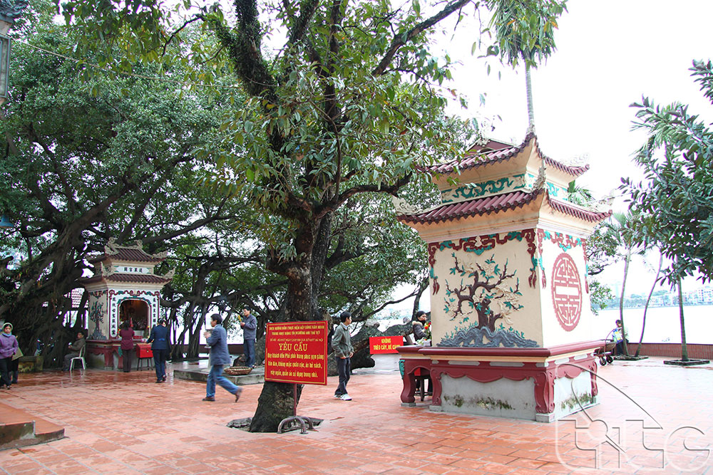 Fête du temple de Tay Ho