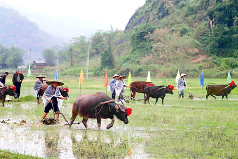 Hội Xuống đồng