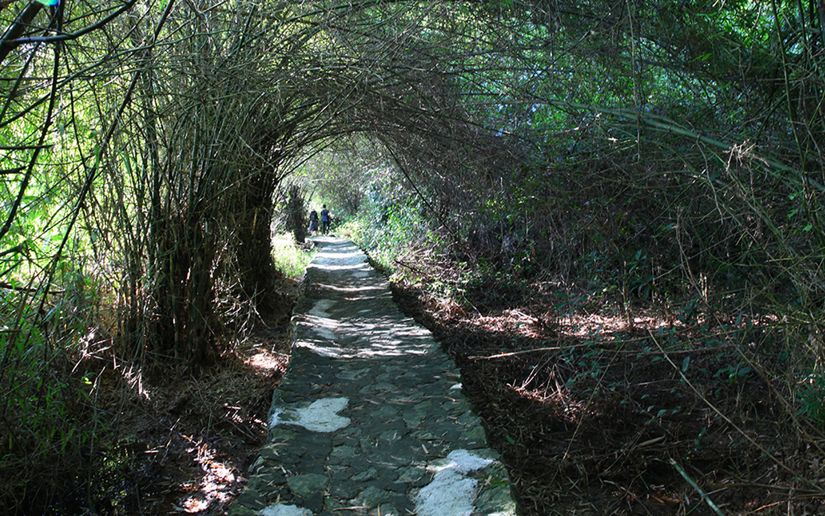 The path leading to Thien Ha Cave