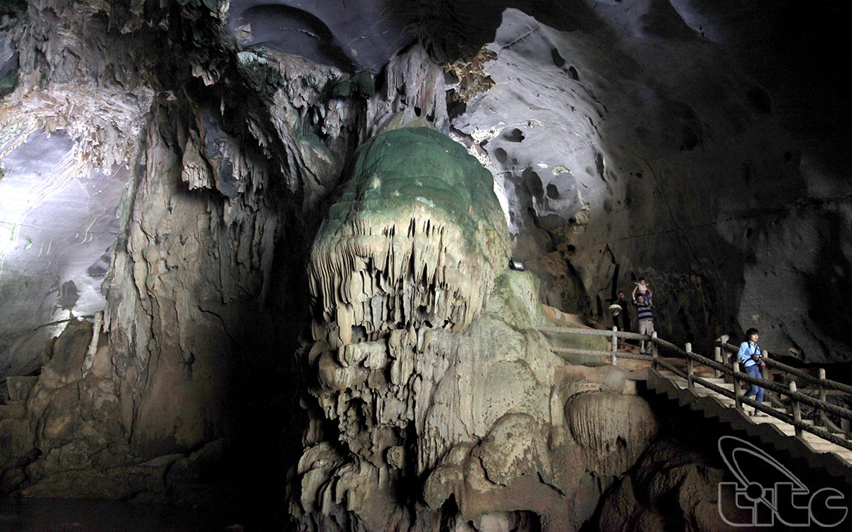 Phong Nha Cave is 7,729m long, 83m deep, 50m high and has many branches.
