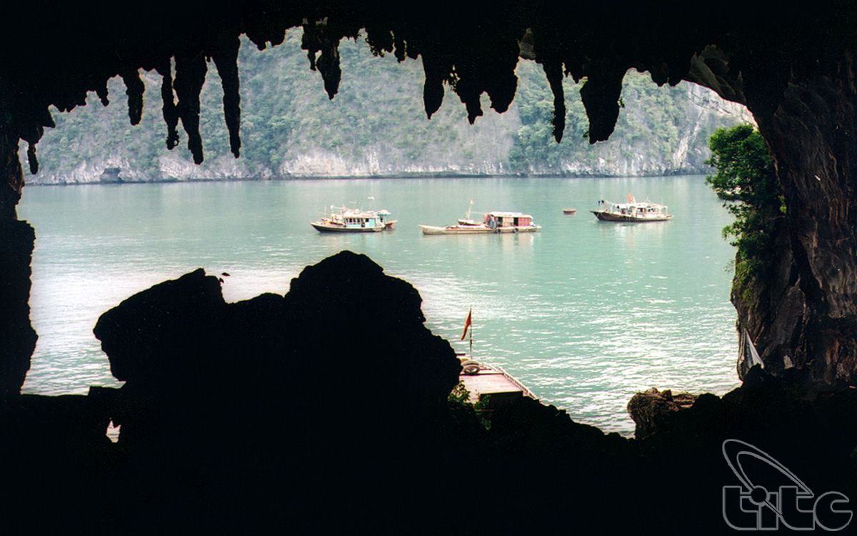 La grotte des Bouts de bois (Hang Dau Go)